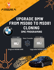 MSD80 MSD81