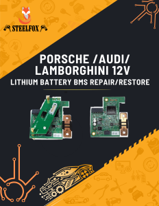 porsche bms module